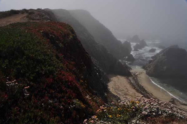 Bodega Head